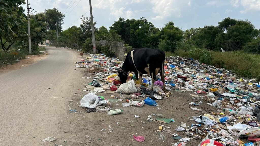 చెత్తాతో కంపుకొడుతున్న కాలనీలు..